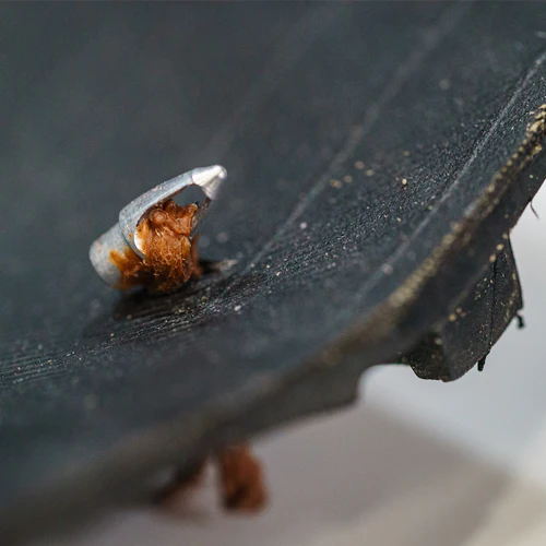 Miniaturebillede 3