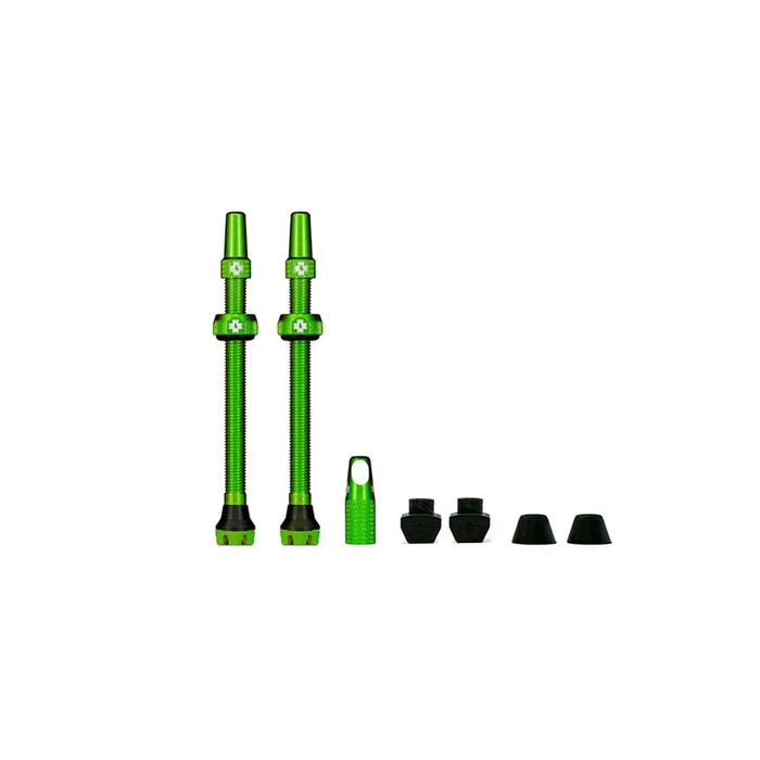 Miniaturebillede 2