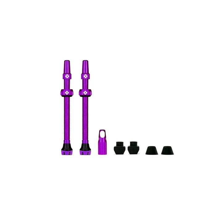 Miniaturebillede 2